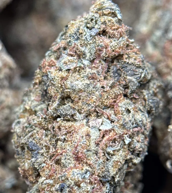 Sour Skittles photo 3