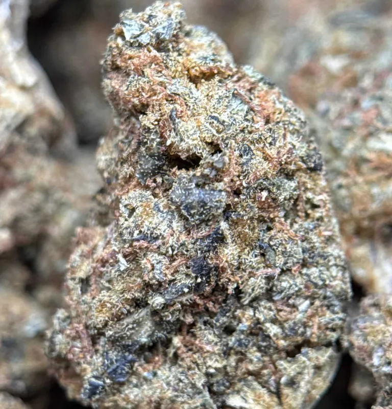 Sour Skittles photo 4