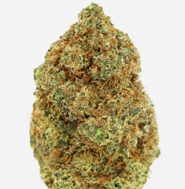 Space Gas - 4oz Bulk Deal For $200