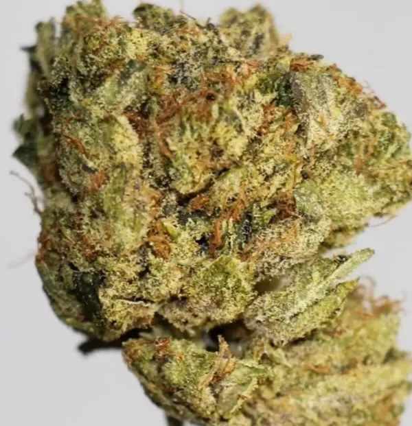 Tuna Breath