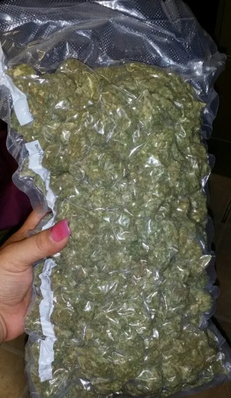 UPer Weed - Bulk Cannabis Pounds for Sale in Canada | Wholesale & Nationwide Shipping photo 2