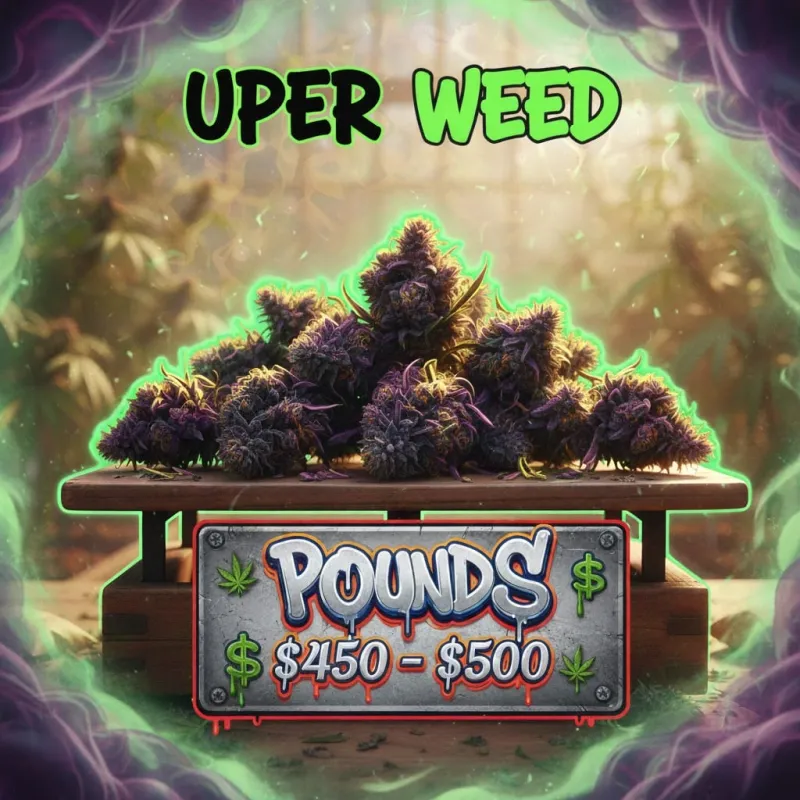 UPer Weed - Bulk Cannabis Pounds for Sale in Canada | Wholesale & Nationwide Shipping photo 4