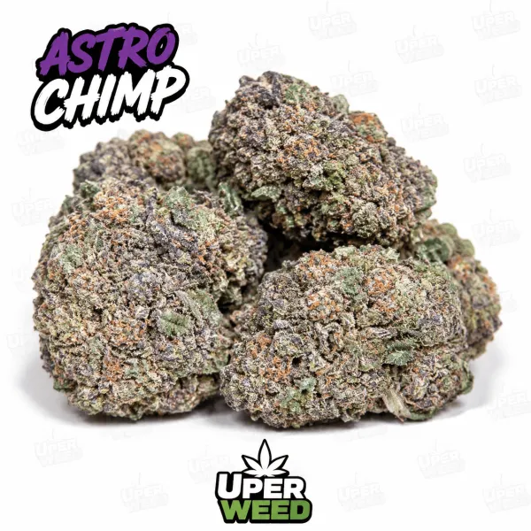 Astro Chimp