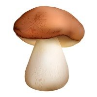 Mushroom