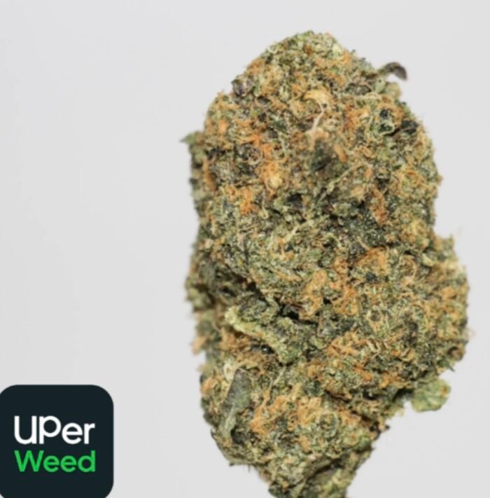 Animal Cookies- 4oz Bulk Deal For $200