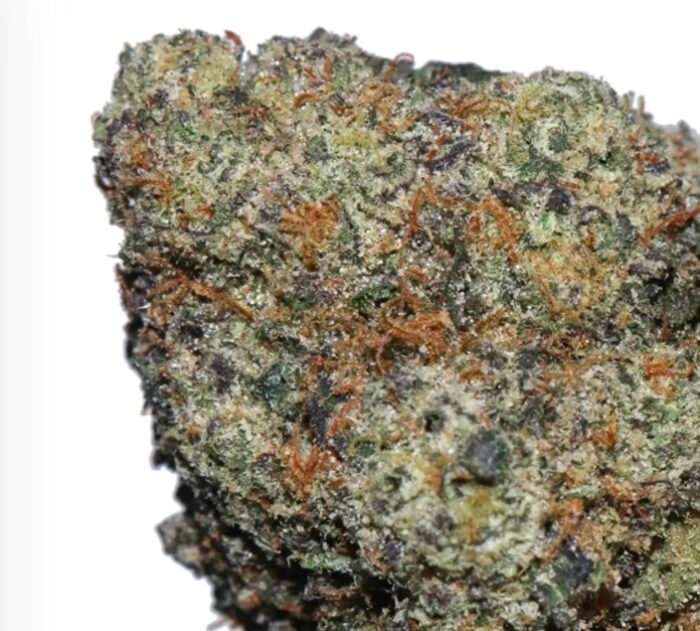 BC Pink Rockstar  – BC High Quality