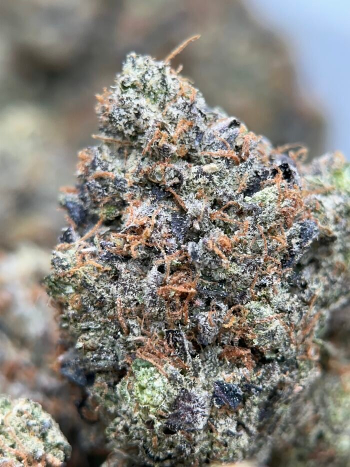 Blue Petrol Cannabis – Premium Cali Brick | Same Day Delivery Ottawa & Gatineau - Image 2