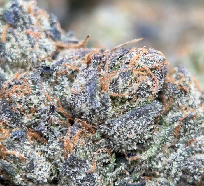 Blue Petrol Cannabis – Premium Cali Brick | Same Day Delivery Ottawa & Gatineau - Image 5