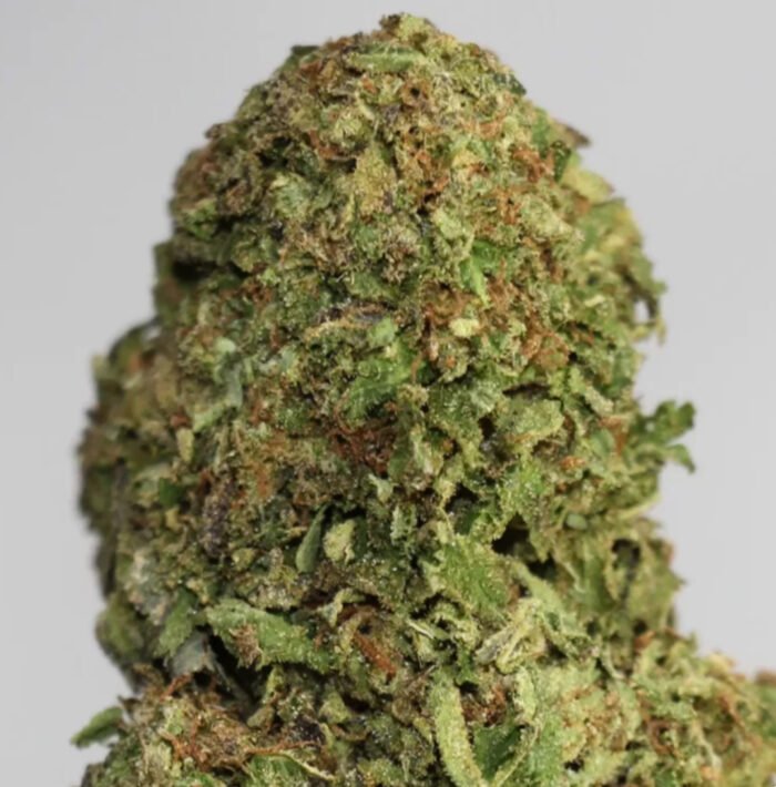 Tropicana Cookies - 4Oz Bulk Deal for $260