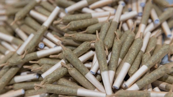 UperWeedCA – Free Gummies or Pre-Rolls Promo - Image 2