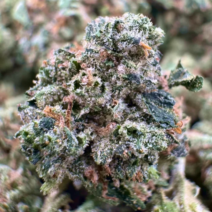 Purple Lemon Haze - 2oz Bulk Deal For $120