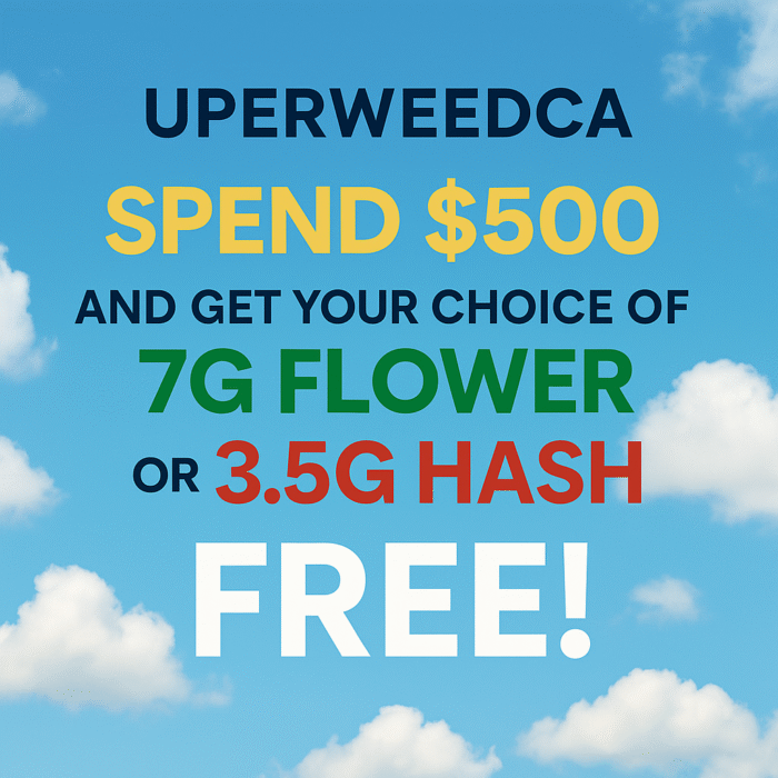 Spend $500 Weed Delivery Deal – Free 7g Flower or 3.5g Hash | UperWeedCA