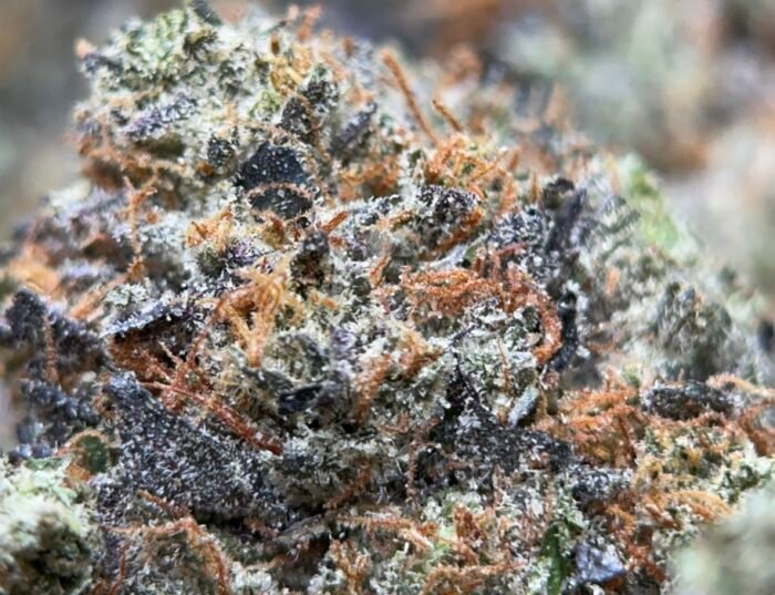 Pink Memory Loss – Indica - Image 3