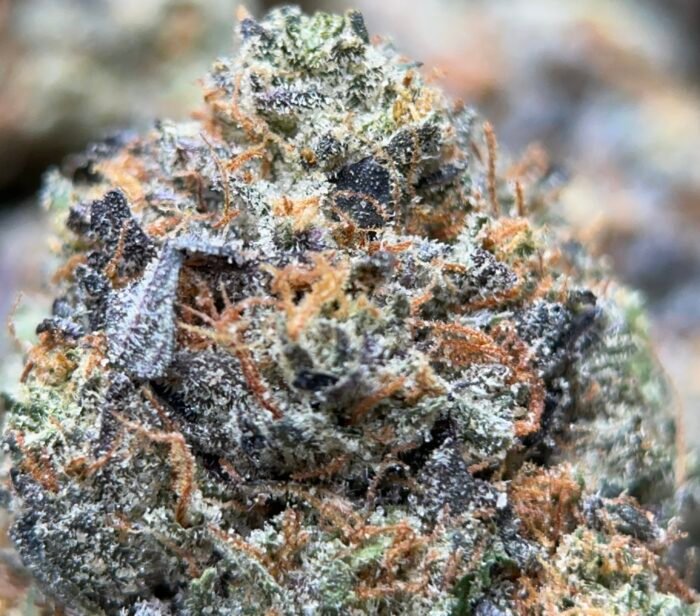 Pink Memory Loss – Indica - Image 4