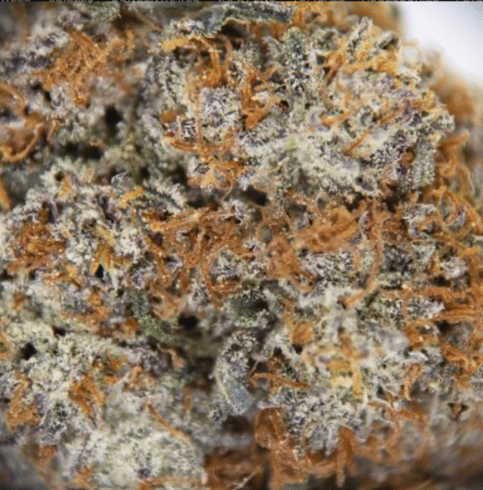 Purple Haze Sativa - 2oz Bulk Deal for $180