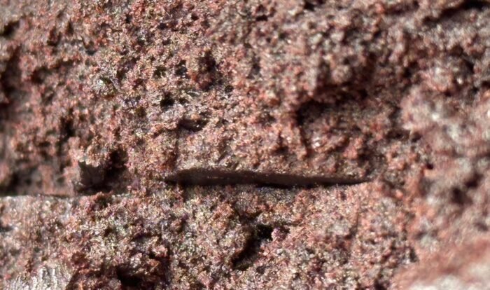 Red Lebanese Hash - Image 3