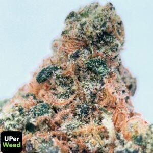 BC  Lemon Pound Cake - Hybrid - 28G for $95