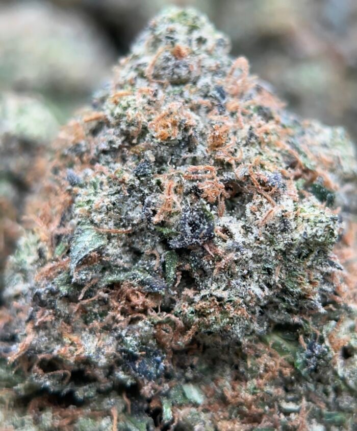 Forbidden Pink (Indica) – THC 32.6% - Image 5