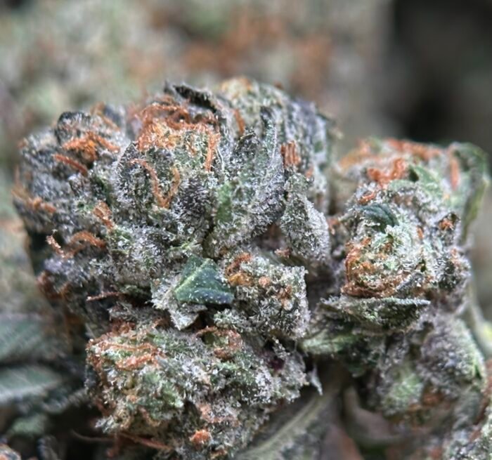 UPer Weed:  Pink Boss (Indica – 32.54% THC) | Premium Indica Strain | Ottawa & Gatineau Same-Day Delivery - Image 3