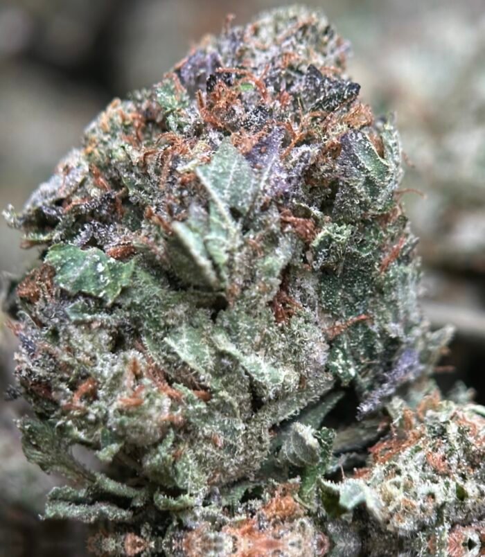 UPer Weed:  Pink Boss (Indica – 32.54% THC) | Premium Indica Strain | Ottawa & Gatineau Same-Day Delivery - Image 4