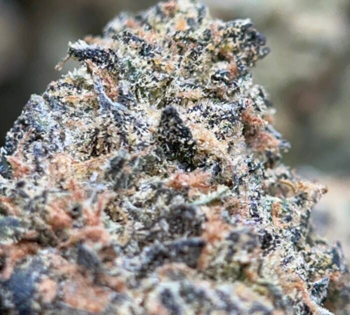 Pineapple Express - Indica THC 32.0% | 2Oz Bulk Deal for $180 - Image 5