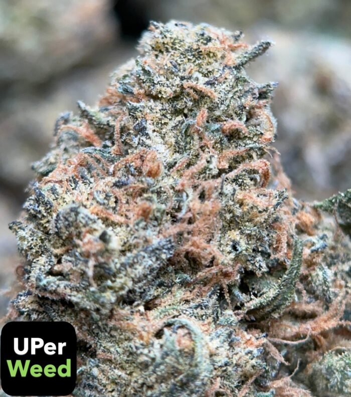 Pineapple Express - Indica THC 32.0% | 2Oz Bulk Deal for $180