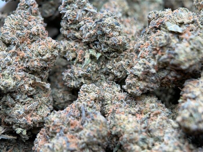 Pineapple Express - Indica THC 32.0% | 2Oz Bulk Deal for $180 - Image 3