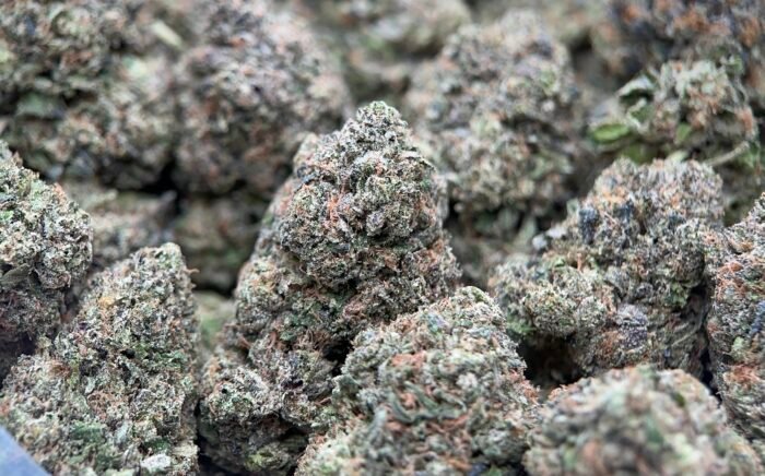UPer Weed: Pink Plug Indica - 32.55%THC | 2oz Bulk Deal ($$230) | Same-Day Ottawa Delivery - Image 2