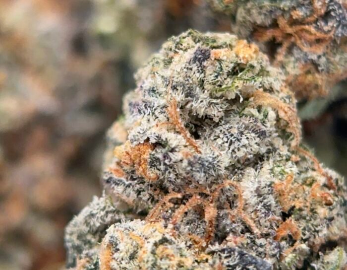 UPER Weed BC Biscotti (31.95% THC) | Premium Indica Flower | Ottawa & Gatineau Same Day Delivery - Image 2