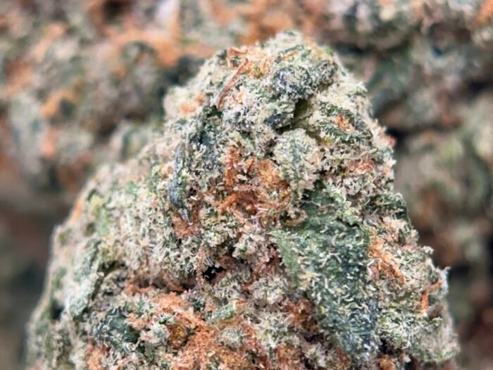 UPer Weed: Gealto #41 Sativa 32.4% THC | 4 Oz Bulk $340 | Same-Day Ottawa - Image 2