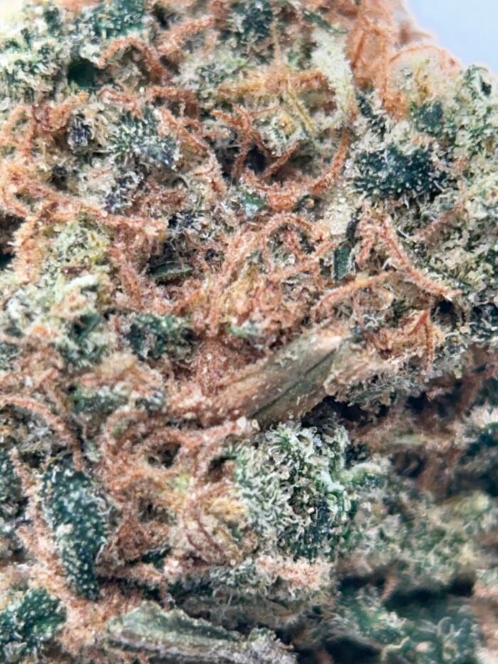 BC  Lemon Pound Cake - Hybrid - Image 2