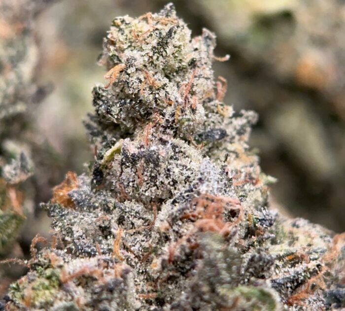 UPer Weed: Thug Life 38.14% THC Indica Flower | Same Day Delivery Ottawa & Gatineau - Image 4