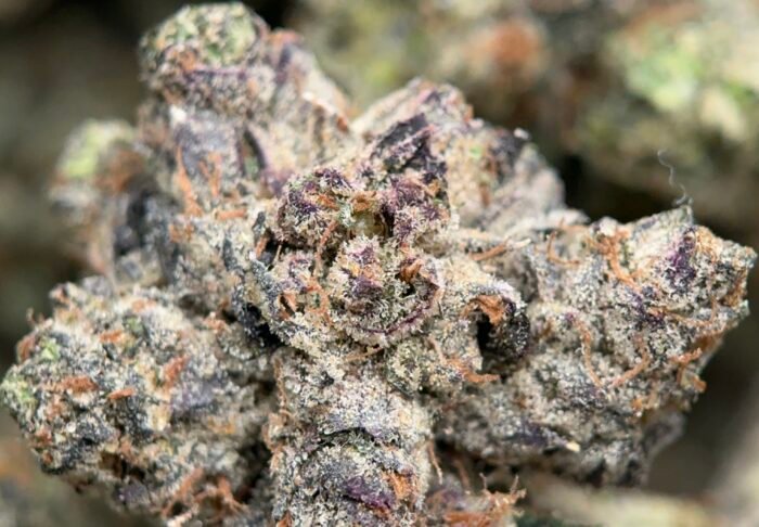 UPer Weed: Thug Life 38.14% THC Indica Flower | Same Day Delivery Ottawa & Gatineau - Image 5
