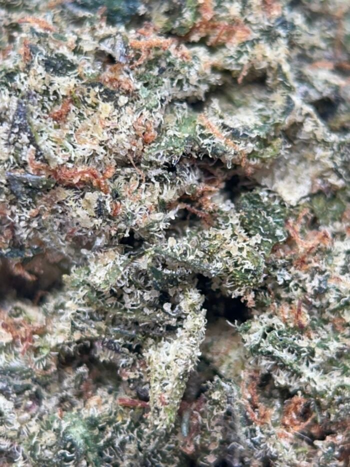 UPer Weed: Pink Alien Gas Indica - 31.98% THC | 4Oz Bulk Deal for $350  | Same-Day Ottawa Delivery - Image 3