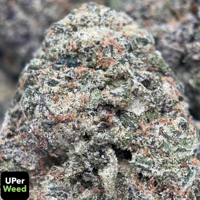 Pink Alien Gas