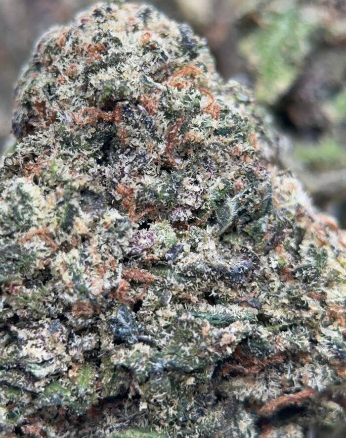 UPer Weed: Pink Alien Gas Indica - 31.98% THC | 4Oz Bulk Deal for $350  | Same-Day Ottawa Delivery - Image 2