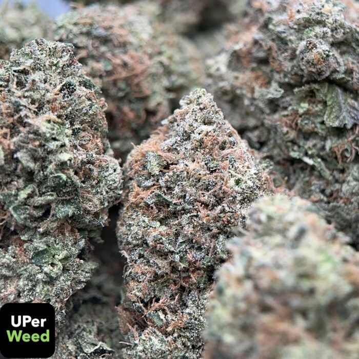 Pink Diesel