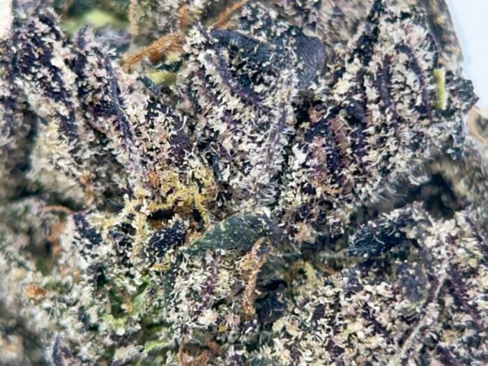 UPER Weed: Purple Octane (31.95% THC) | Premium Indica Hybrid | Ottawa/Gatineau Delivery - Image 4