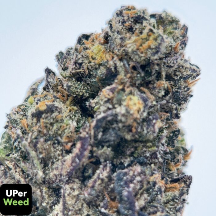 UPER Weed: Purple Octane (31% THC) | Premium Indica Hybrid | Ottawa/Gatineau Delivery