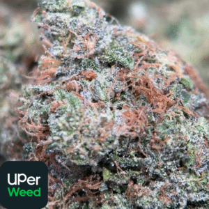 UPer Weed: Astro Blackhole Indica - Same Day Weed Delivery Ottawa & Gatineau
